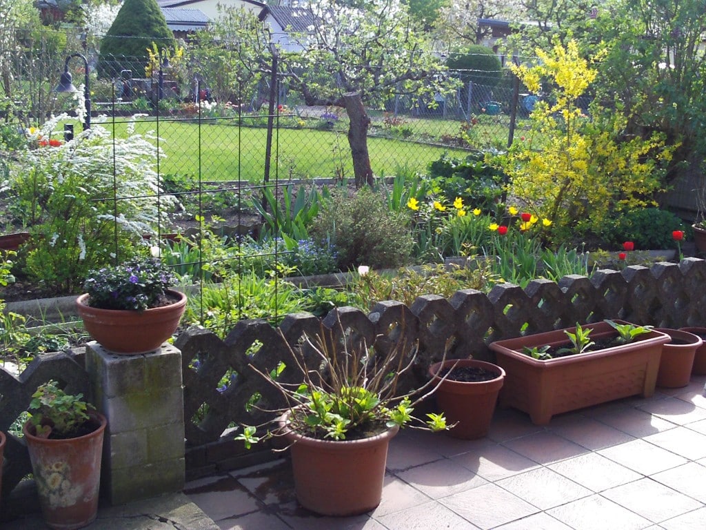Terrasse gestalten mit Pflanzkübel - Gartenelfe